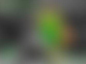 GHSA Team Preview: Buford Wolves