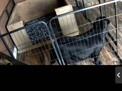 Camera, action, ready as we'll ever be..