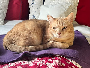 26.03.01 03 rd copie.jpeg