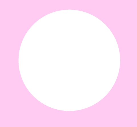 giphy (8).gif