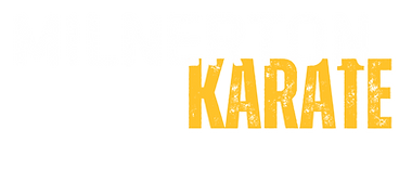 MILNERTON KARATE IMAGE.png