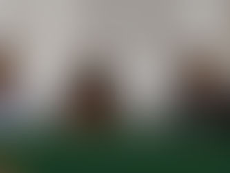 SE PRESENTA COLECCIÓN EDITORIAL CUERPOS ACADÉMICOS