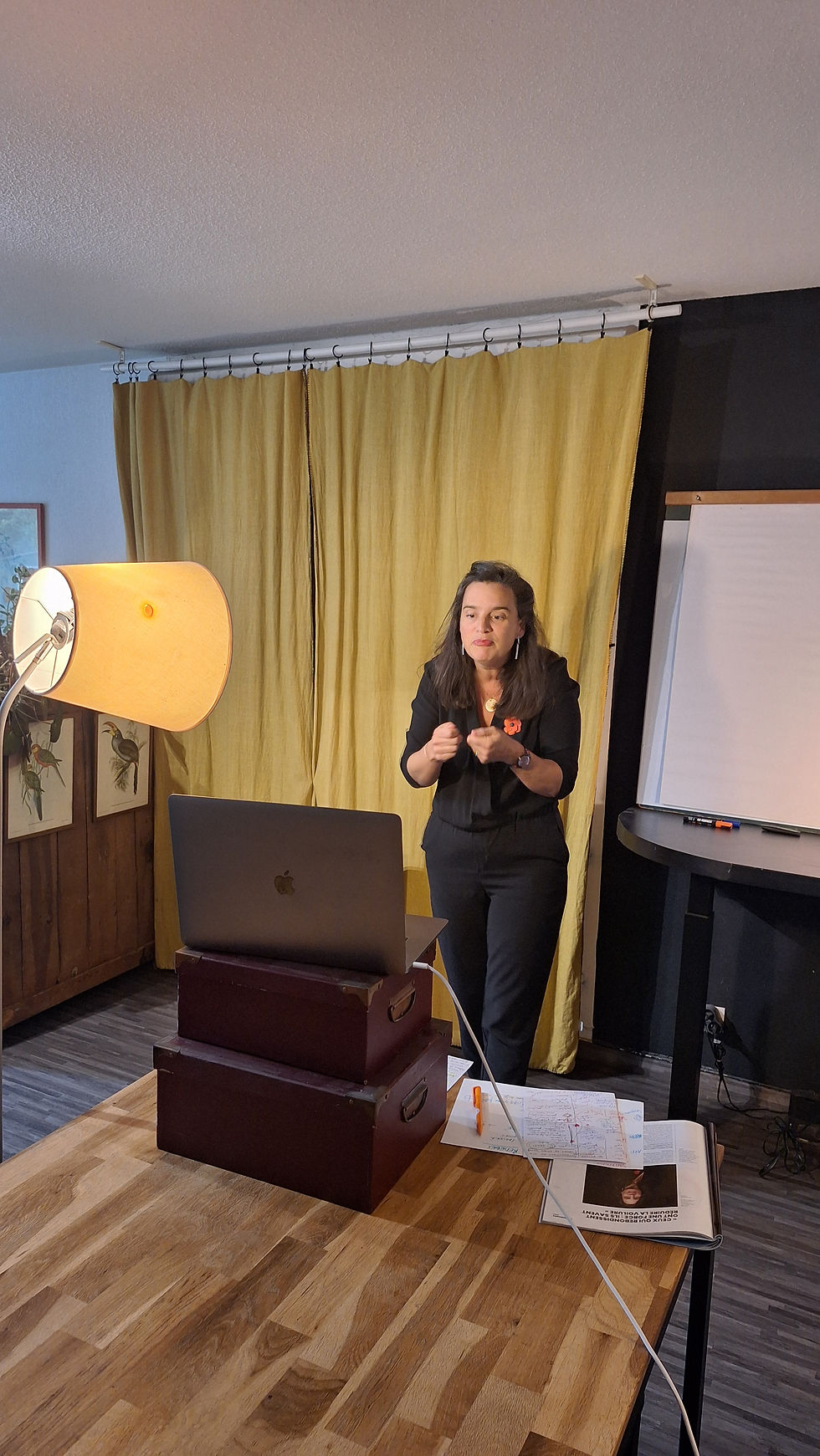 Demi-journée spéciale "Pros de l'accompagnement"