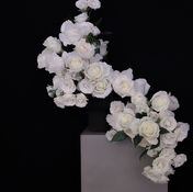 Sculptural cascading white rose arrangement with layered stems in a minimalist white cube vase against a black background
