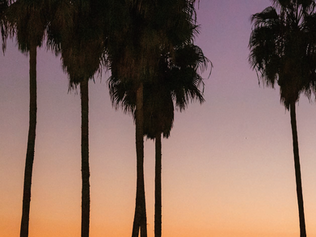 California Dreamin'