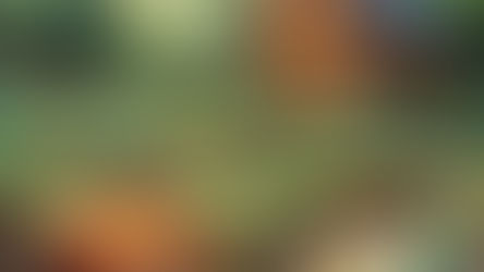 Diferencias Paralelas 46