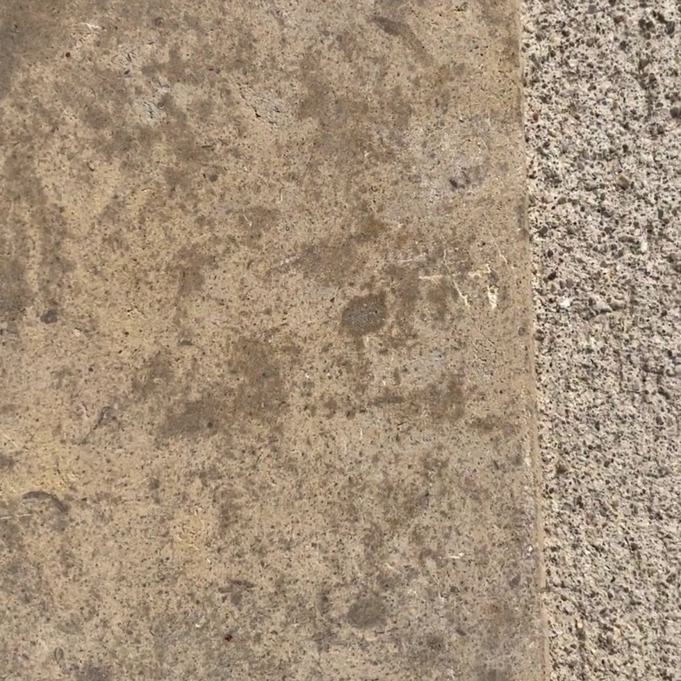 Thumbnail: 12" x 12" Limestone Natural Stone Tile T-55