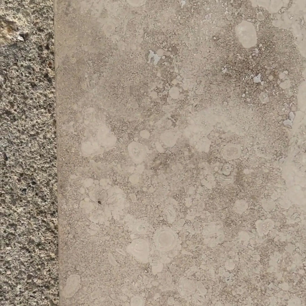 Thumbnail: 12x12 Durango Marble Travertine Tile Honed