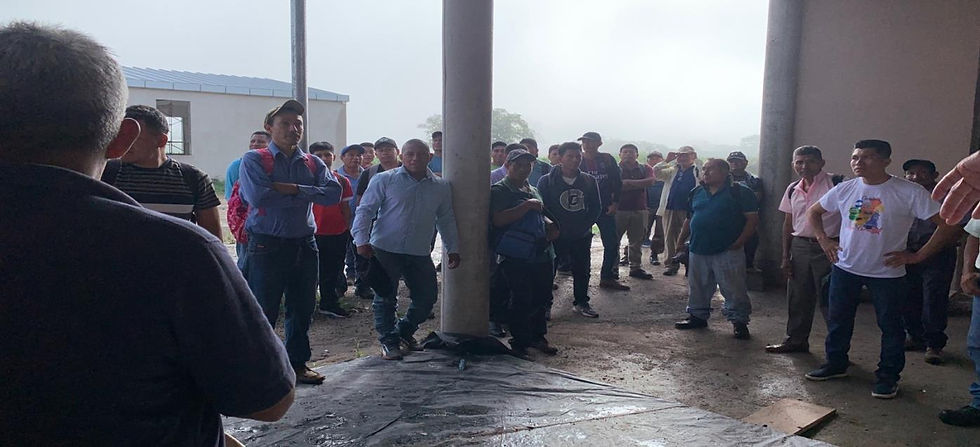 June 18
After having a prayer, all the volunteers took the tools needed and helped with different tasks.