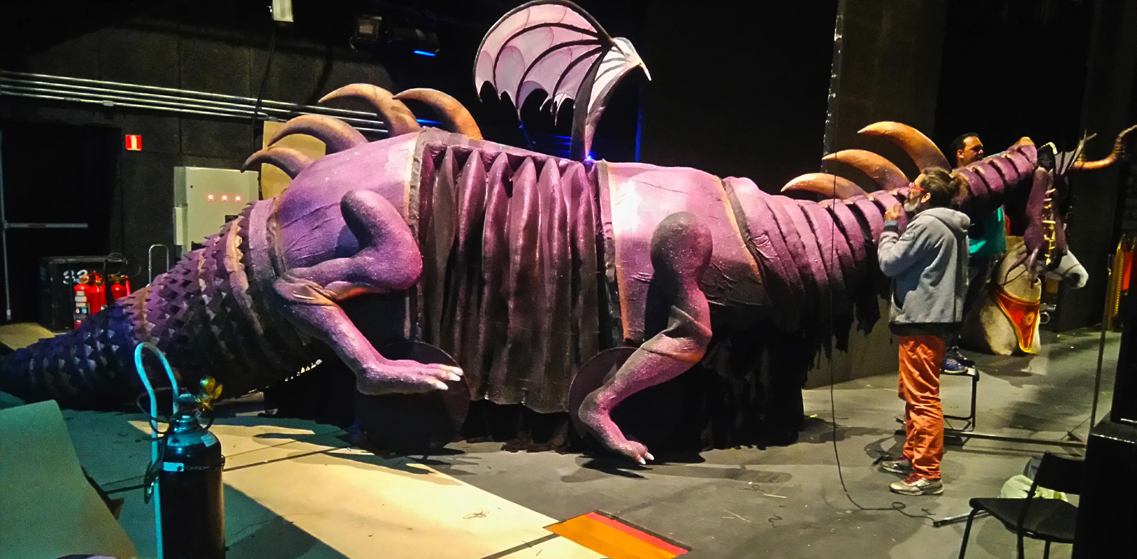 Estrutura interna dragão
