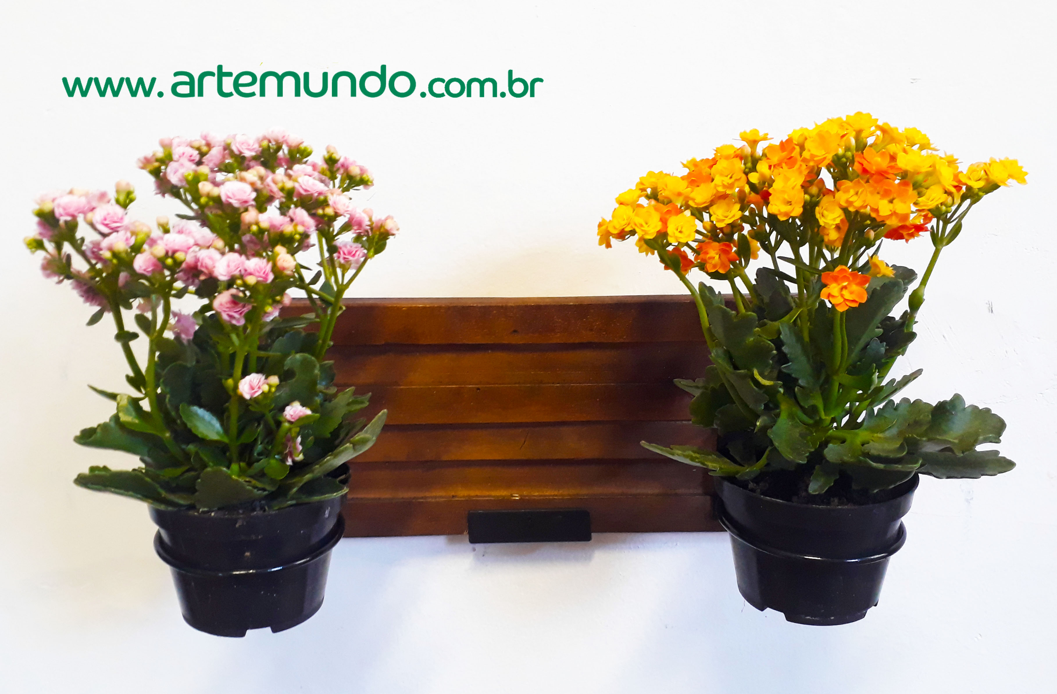 Suporte para 2 violetas R$ 30,00