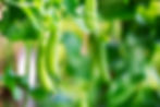 iStock-2164772319.jpg