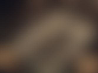 Unraveling the Mystery of the Two of Arrows in The Wild Wood Tarot Deck: A Closer Look at Injustice