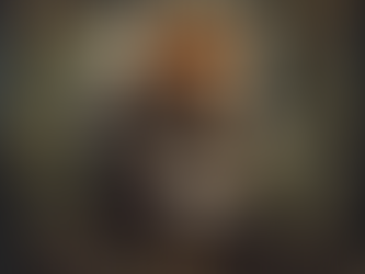 What does the Knight of Bows - Fox card from The Wild Wood Tarot Deck symbolize in daily card interpretations?