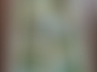 Card of the Day ..... 25th June 2024