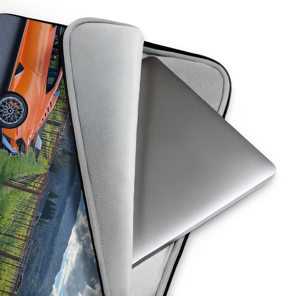 Thumbnail: Ambition Laptop Sleeve