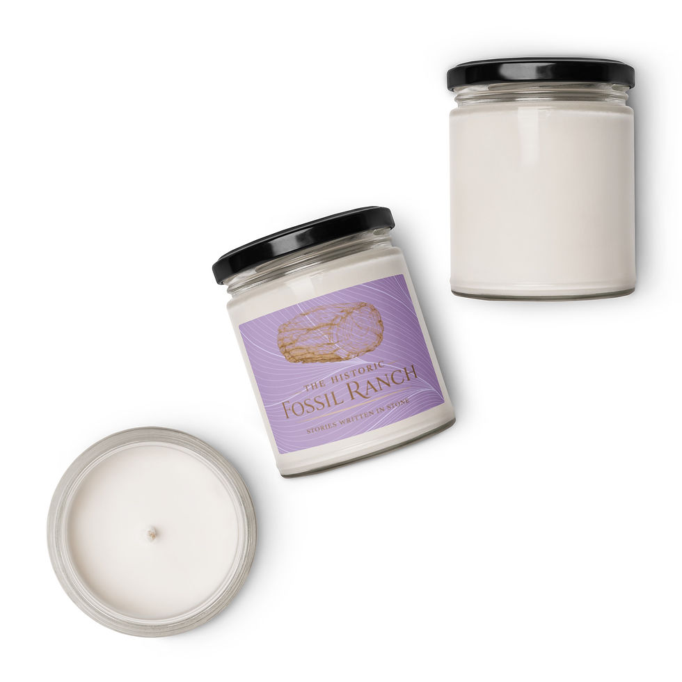 Thumbnail: White Sage & Lavender Scented soy candle