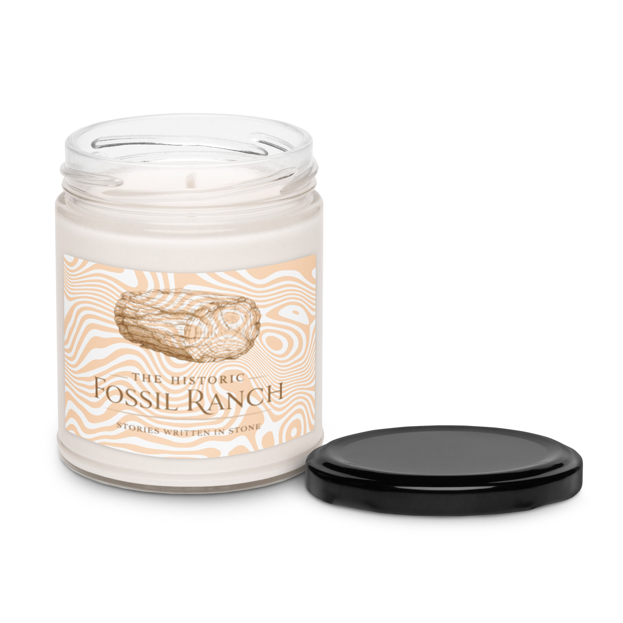 Cinnamon & Vanilla Scented soy candle