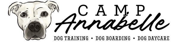 Camp Annabelle_Option 3.png