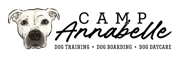 Camp Annabelle_Option 3.png