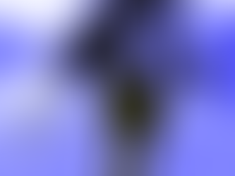 Meine neue Webseite ist online