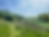 464FF381-CA45-4F34-B8D2-8C503BFD841B.heic
