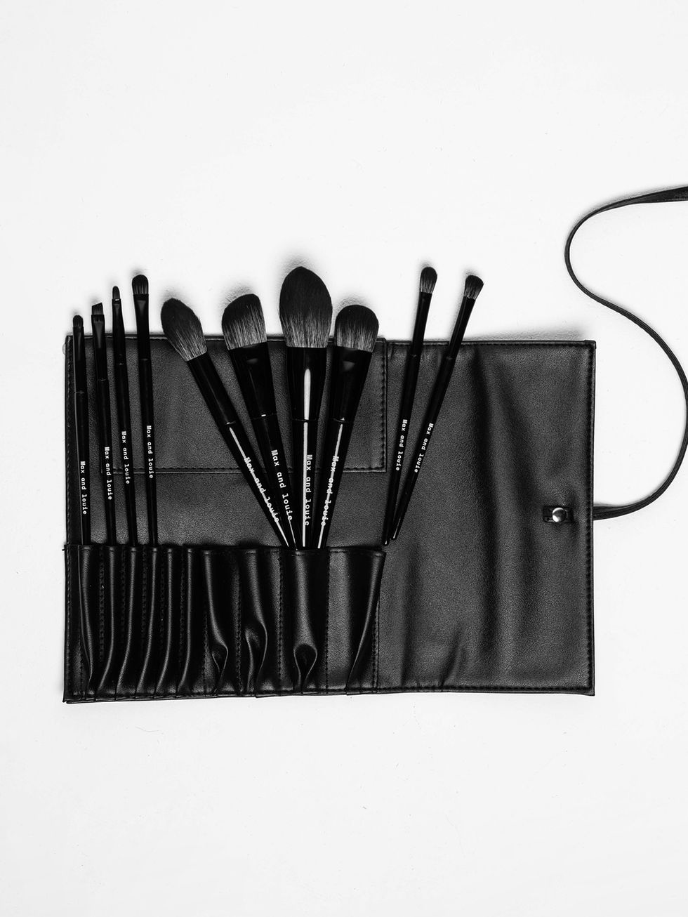 Max and Louie 10 pc brush set and case
