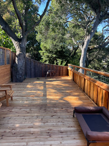 Side yard garden spa with redwood deck and native plantings in Oakland