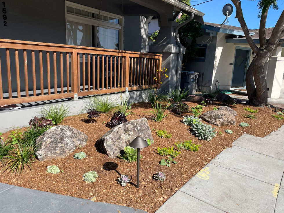 Side yard garden spa with redwood deck and native plantings in Oakland