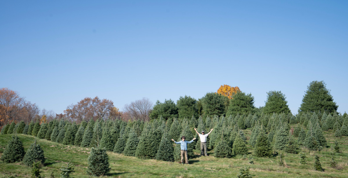 cutyourown Christmas Tree Farm Poughkeepsie, NY