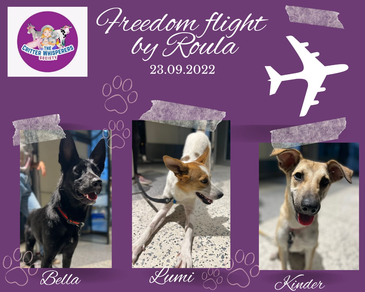 Flight Angel Roula C