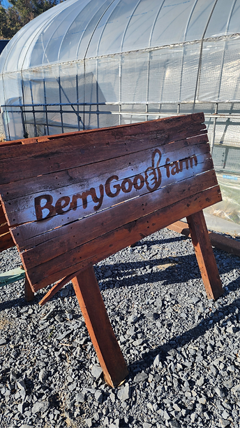 BGF 看板_edited.png