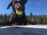 IMG_8630.jpeg