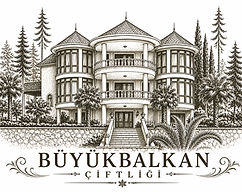 BÇ - Bina Logo.png