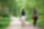 BÇ - Horse Riding Background.jpg