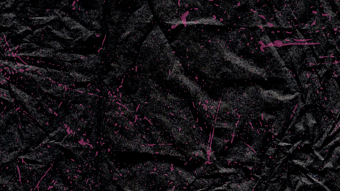 banner cornelia wix.png