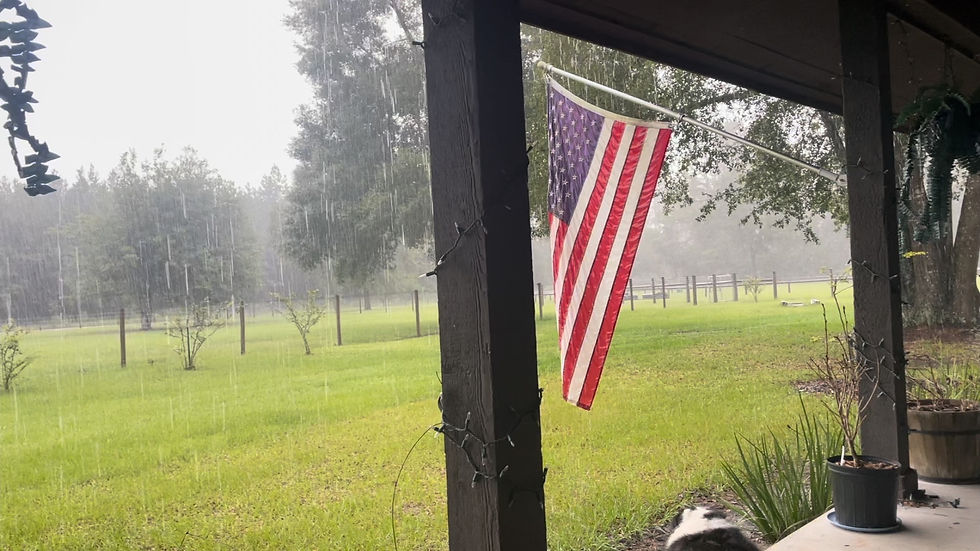 rainy morning on porch