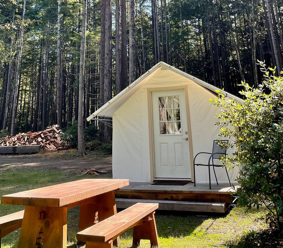 Cabin 1