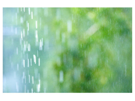 「やめて」の伝え方、ひと味くわえると🐸☔