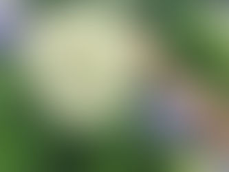 生きててくれてありがとう