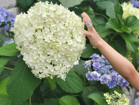 生きててくれてありがとう