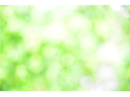 「君は、ほんとうは、いい子なんだよ」