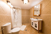 Junior suite bathroom Carpathian Log Home