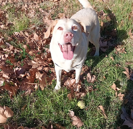 Imagen de WhatsApp 2025-02-25 a las 16.34.41_51295b17.jpg