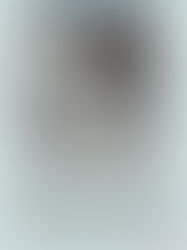 His Master's Grace 9/3/2018