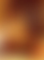 His Master's Grace 23/08/2018