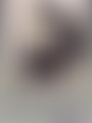 His Master's Grace 10/09/2018