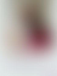 His Master's Grace 24/5/2018