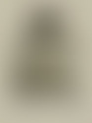 His Master's Grace 25/11/2018