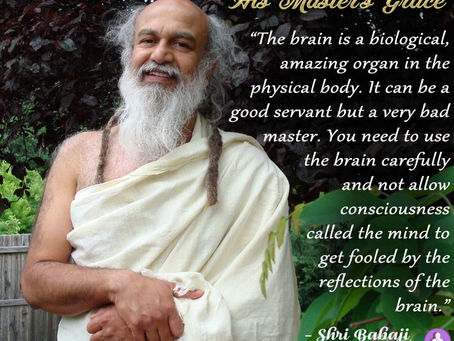 His Master's Grace 13/1/2018